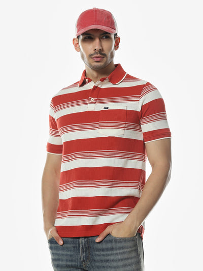 Rust Striped Polo Regular Fit T-Shirt