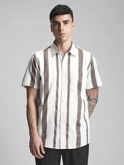 Brown Stripe Shirt