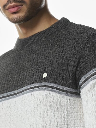 Charcoal Strip Regular Fit Sweater