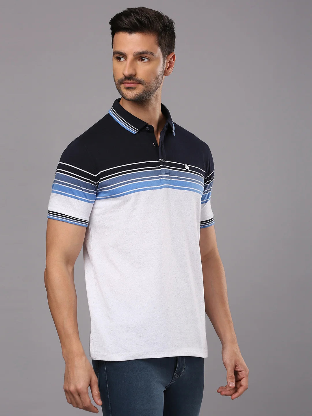 Navy White Striped Polo Regular H/S T-Shirt