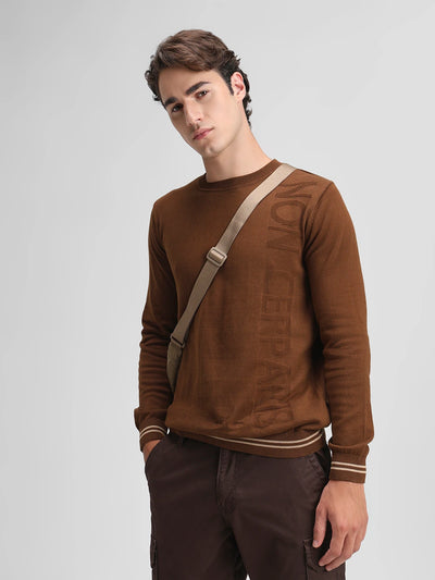 Brown Solid Sweater